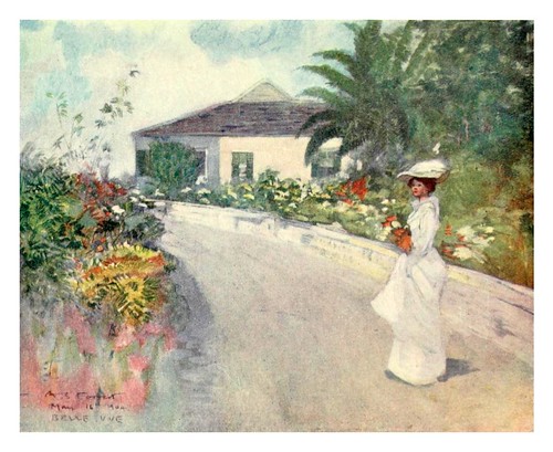 031-Un bungallow en las colinas de Jamaica-The West Indies 1905- Ilustrations Archibald Stevenson Forrest