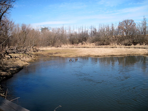 Mill Creek 20100316