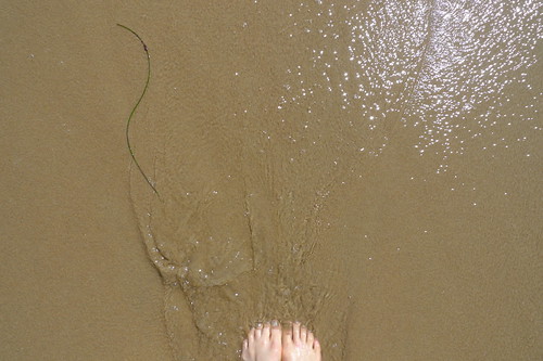 my feet and the pacific