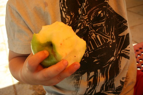 Darth Vader vs. Apple