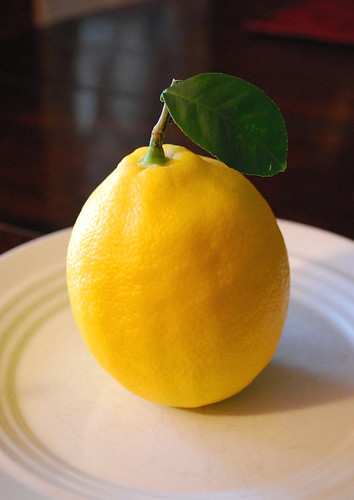 meyer lemon