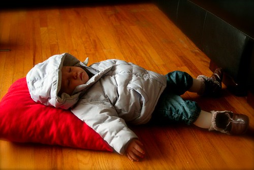 Zoey sleeping coat and floor -Nov09