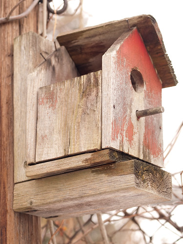 Bird House SOOC