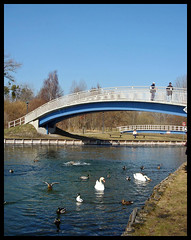 Tollensesee Oberbachbrücke Neubrandenburg