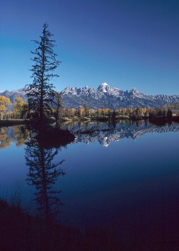 This constructed wetland near Jackson, Wyoming provides habitat for fish and other wildlife. 