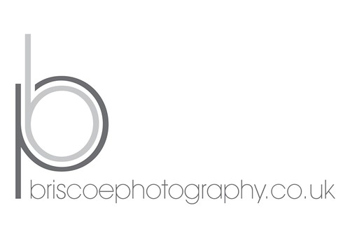 New Briscoe photography logo