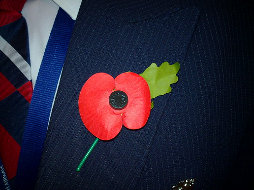 Armistice Day Poppy