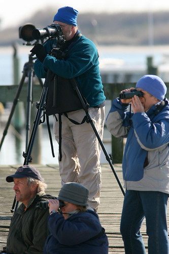 Ivory Gull watchers 20091208