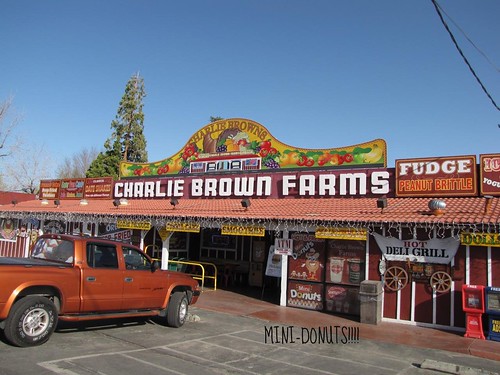 Charlie Brown's Farm-1 Donuts!