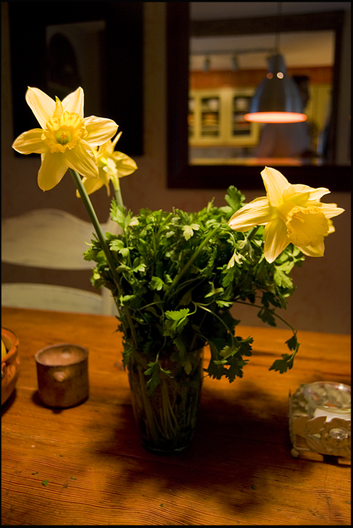 daffodil-parsley-centerpiece