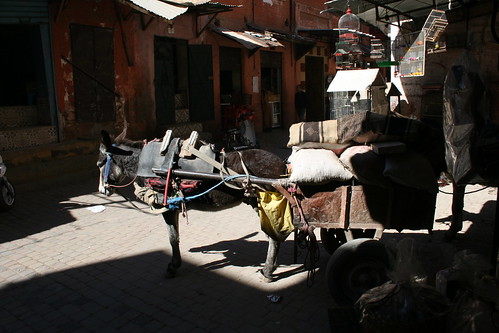 Marrakech BY 0110_092