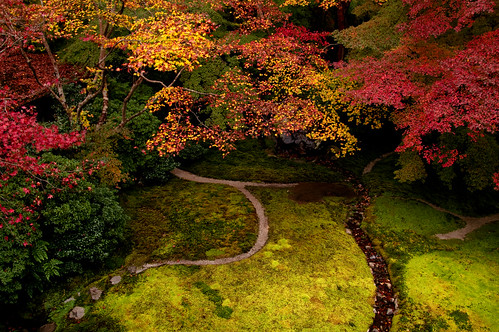 Moss garden - Kyoto