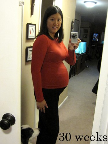 30 weeks pregnant. 30 weeks pregnant. 30 weeks, taken January 25, 2010.