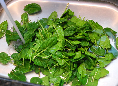 February Spinach Harvest 2