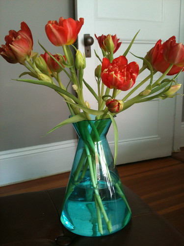 Ruffly tulips