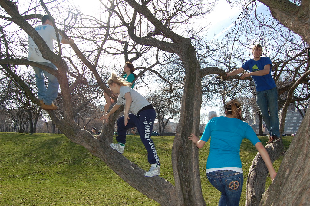 climbing trees pt 1