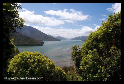 View of the Sounds - Marlborough Sounds, NZ