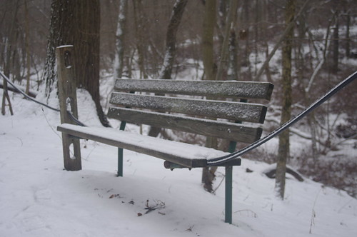 Bench on trail