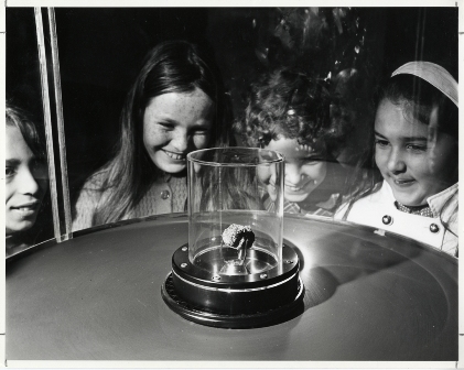 Children admire Apollo 11 lunar sample at the Academy in 1970.  N2579D, Copyright California Academy of Sciences Library, Special Collections.  Photo by Lloyd Ullberg.