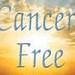 cancer-free-edition-guide-gentle-toxic-healing-bkblak003383