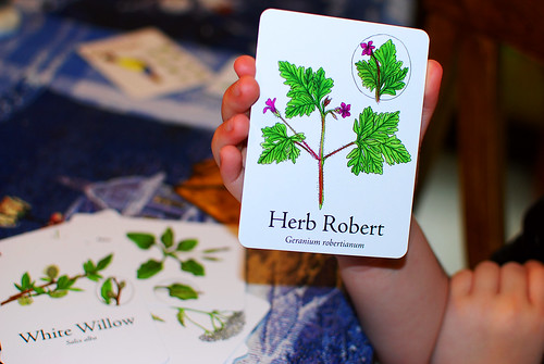 Wildcraft Herbal Board Game