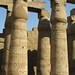 Temple of Luxor, Great Court of Ramesses II (9) by Prof. Mortel