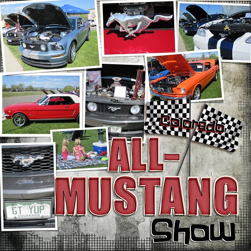 Colorado All-Mustang Show
