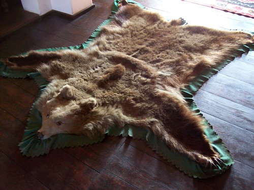 bear rug