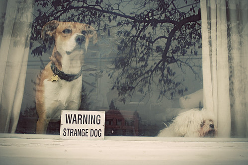 warning strange household!
