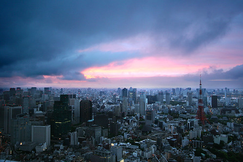 フリー写真素材|建築・建造物|都市・街|高層ビル|朝日・朝焼け・日の出|霧・霞|日本|東京都|東京タワー|