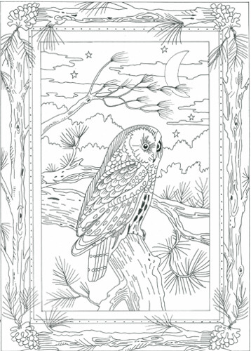 printable pictures to color of owls