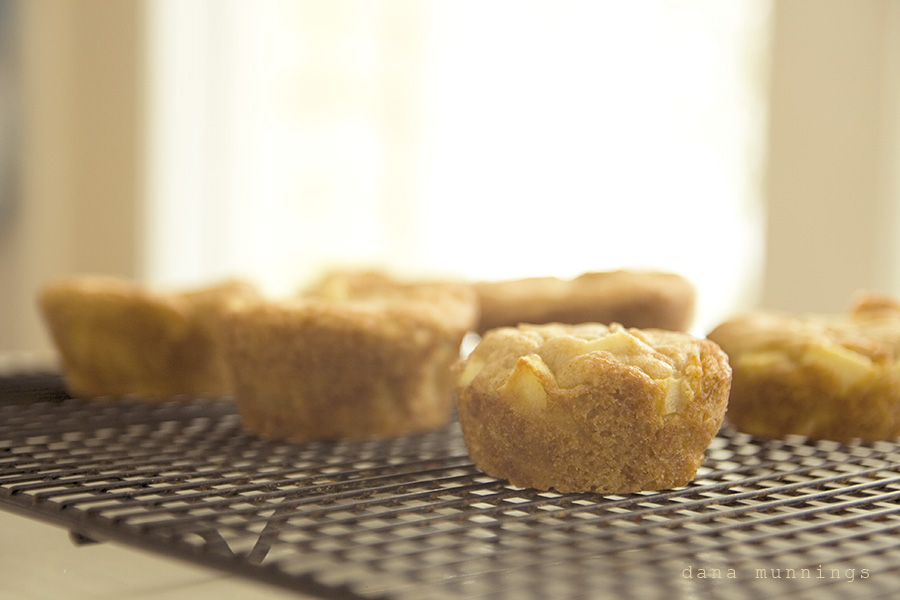apple muffins
