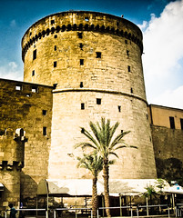 Mohamad Ali's Castle