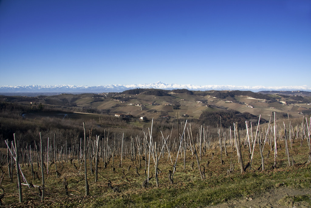 Vineyards, Hills & Alps (by storvandre)