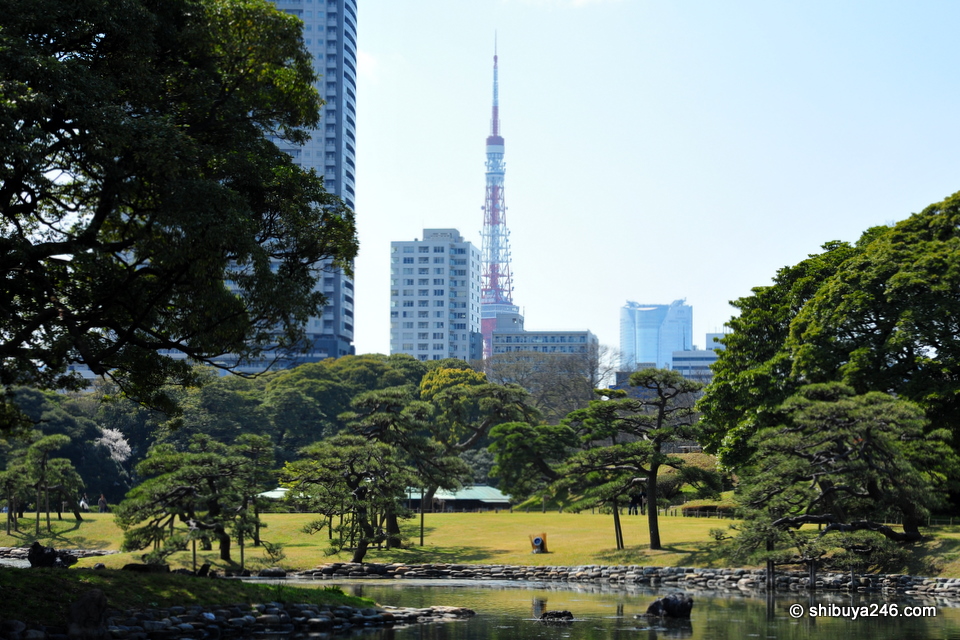 Tokyo Tower and Roppongi Hills featuring on the skyline.