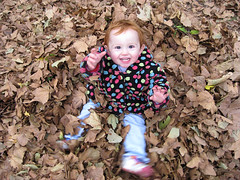 leaves2 = Speck in a dotty coat, happily seated in a pile of leaves