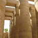 Temple of Karnak, Hypostyle Hall, work of Seti I (north side) and Ramesses II (south) (81) by Prof. Mortel