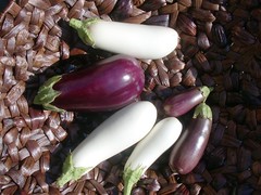 Eggplants-9902