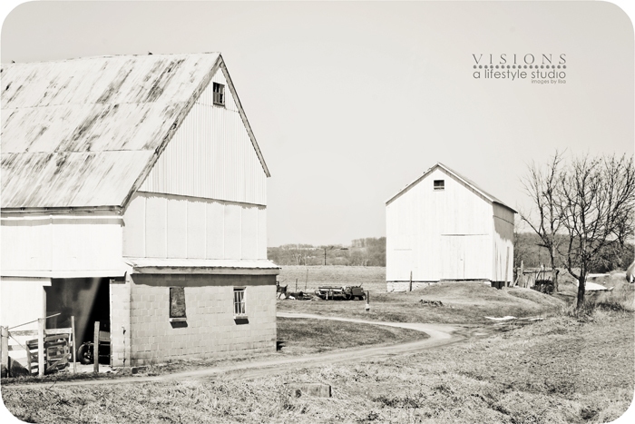 Two barns WM
