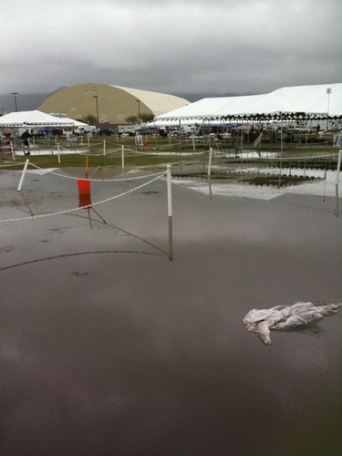 Fiesta Cluster showgrounds rained out