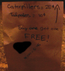 Waxhaw sign: Caterpillars & tadpoles for sale B1G1