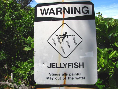 jellyfish warning sign