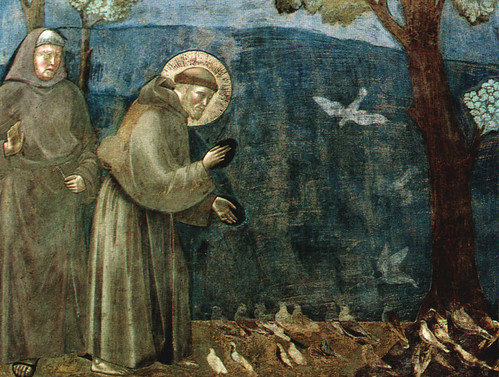 St_FrancisPreachingtotheBirds_Giotto