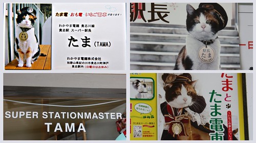 Stationmaster Tama in Wakayama information