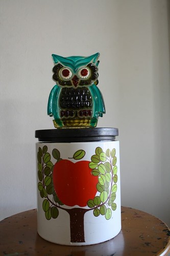 owl and apple tree