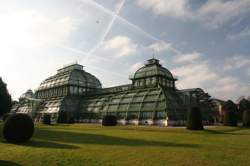 Schönbrunn greenhouse