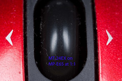 mpe65 IMG_7564