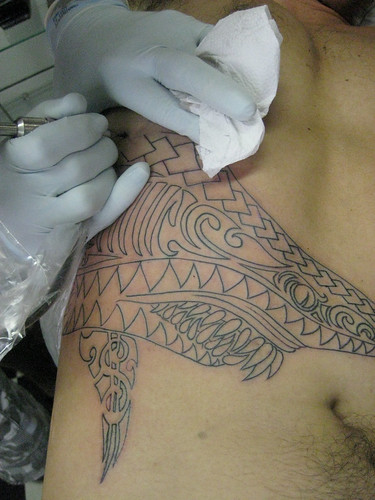 Polynesian Shark Tattoo WIP. First session www.micaeltattoo.com.br