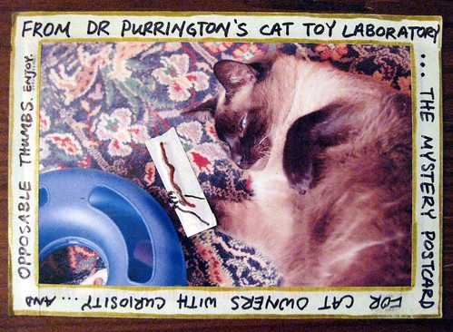 From Dr Purrington's Cat Toy Laboratory