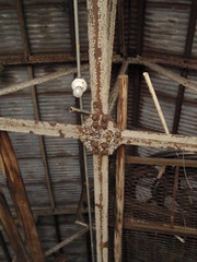 mule barn ceiling
